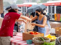 student buying produce at sustainability festival