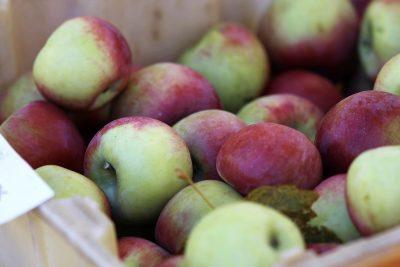 Basket of gala apples