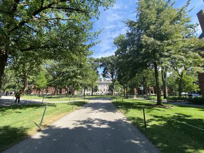 Harvard College lawn