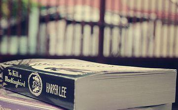 EDIT: A Novel Discovery
