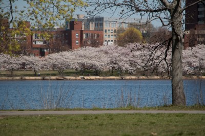 DNA evidence links five unsolved sexual assault cases to a man awaiting trial for a similar crime committed in Cambridge, officials said Tuesday. PHOTO BY OLIVIA NADEL/ DAILY FREE PRESS STAFF