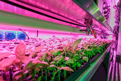 Boston companies such as Freight Farms and Harvest Automation are developing new technology to support horticulture and agriculture in the city. PHOTO COURTESY OF FREIGHT FARMS