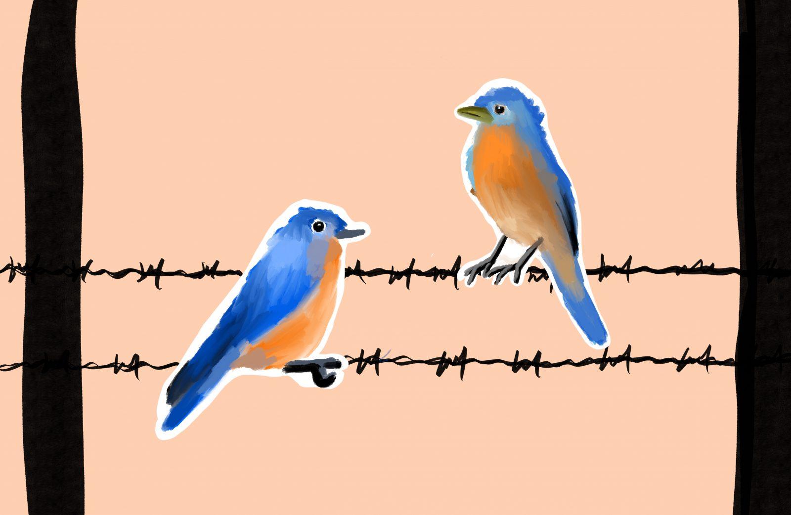 Yvonne Tang | Graphic Artist