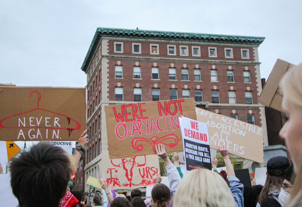 protest signs with ovaries