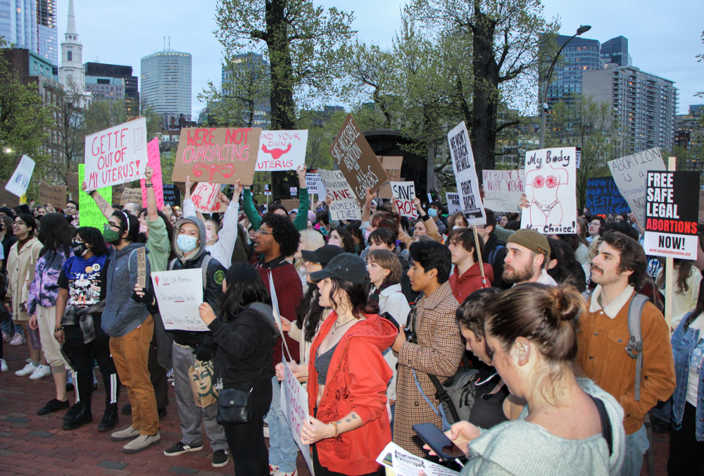 crowd of protestors at rally