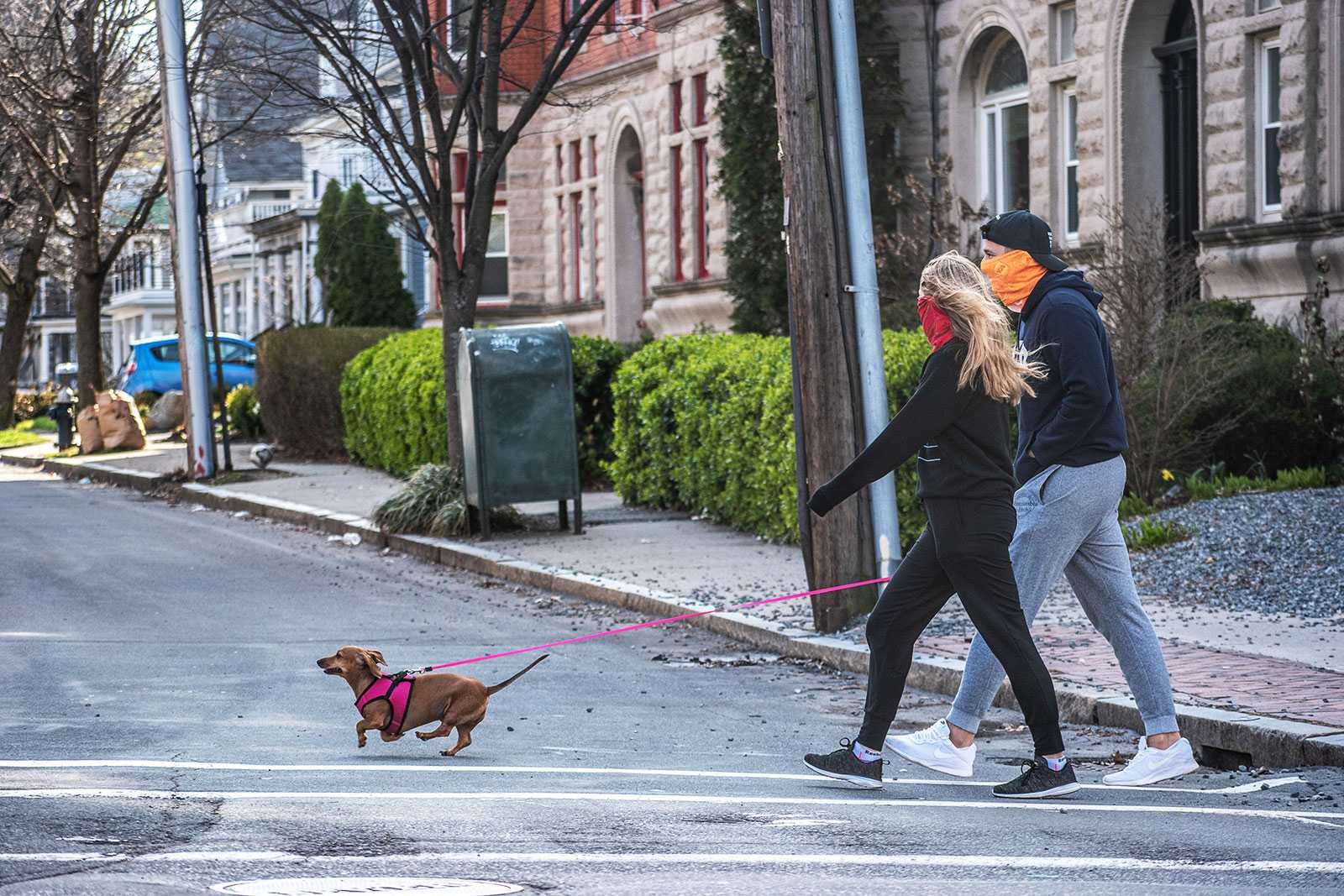 People wear makeshift masks as they walk their dog in Brookline. Handmade or improvised masks are becoming the norm as hospitals struggle with low supplies of N95 masks. LAURYN ALLEN/ DAILY FREE PRESS STAFF