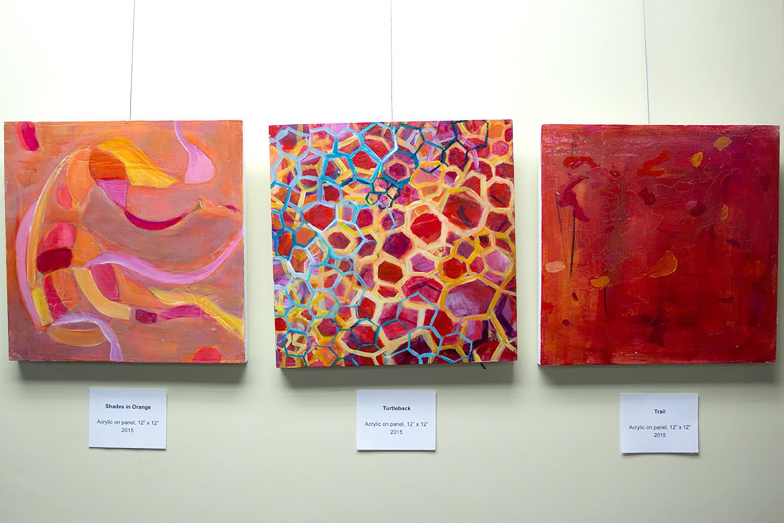Paintings by Turkish artists were featured in the Howard Thurman Center for Common Ground Monday. PHOTO BY MARY SCHILICHTE/DAILY FREE PRESS STAFF
 
