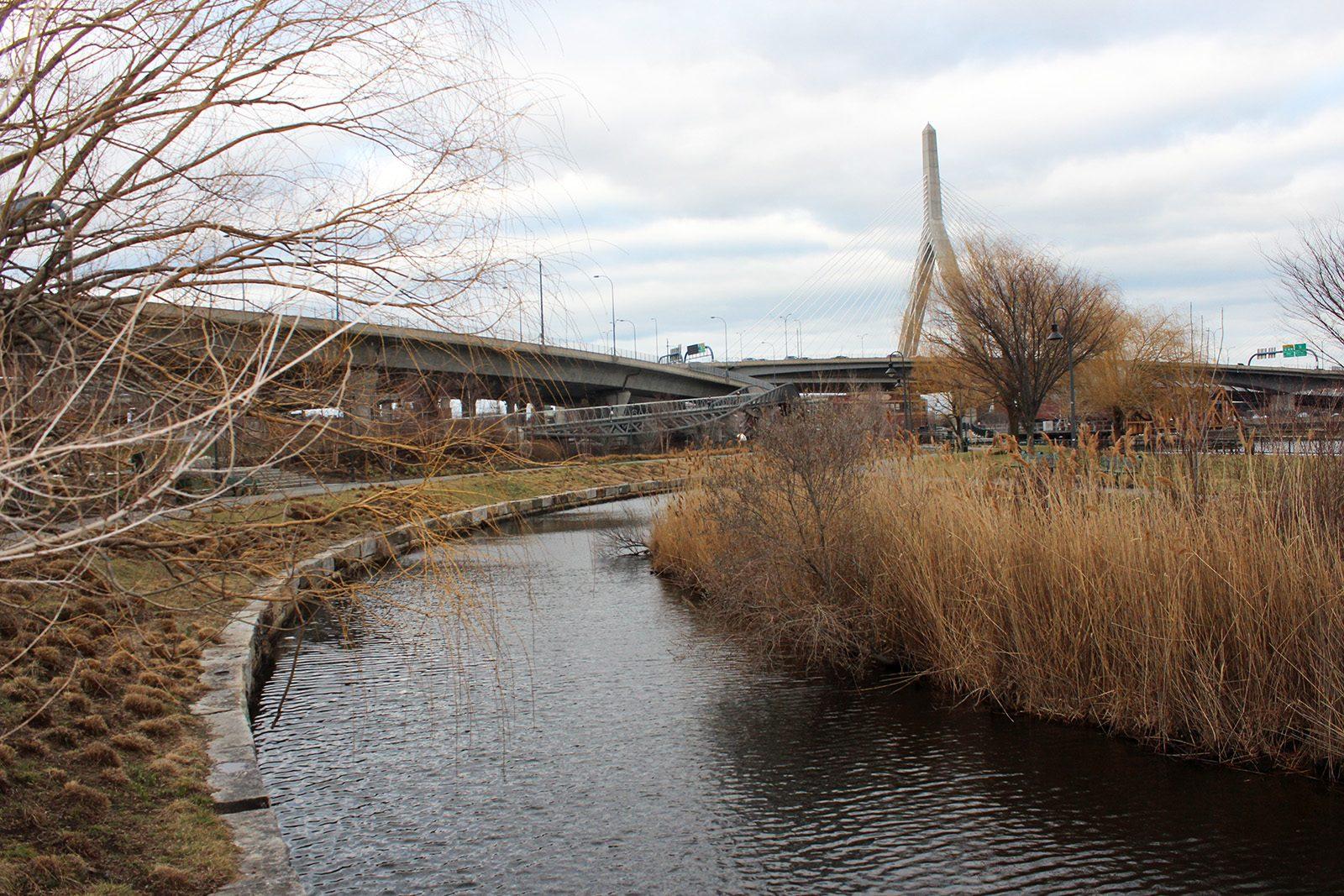 Charles River Conservancy expands on its ongoing project to create a swim park at North Point Park, allowing tourists to swim in the Charles River. PHOTO BY MEGHANA PATNANA/ DAILY FREE PRESS STAFF