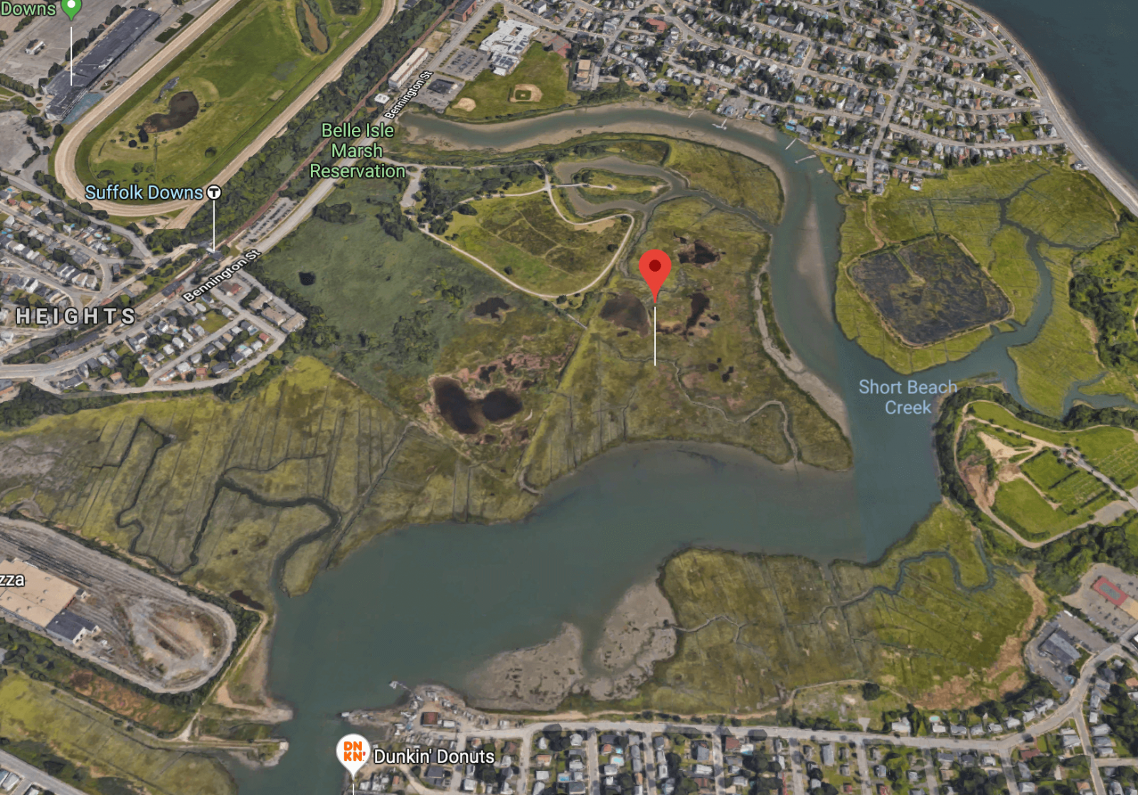 Belle Isle Inlet Marsh is one of Boston’s main wetlands. Two Boston City Councilors are pushing to strengthen protections for local wetlands in the hope of fighting climate change. COURTESY OF GOOGLE MAPS