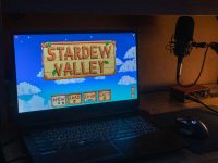 escapism and stardew valley video game