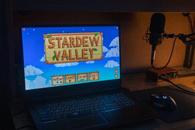 escapism and stardew valley video game