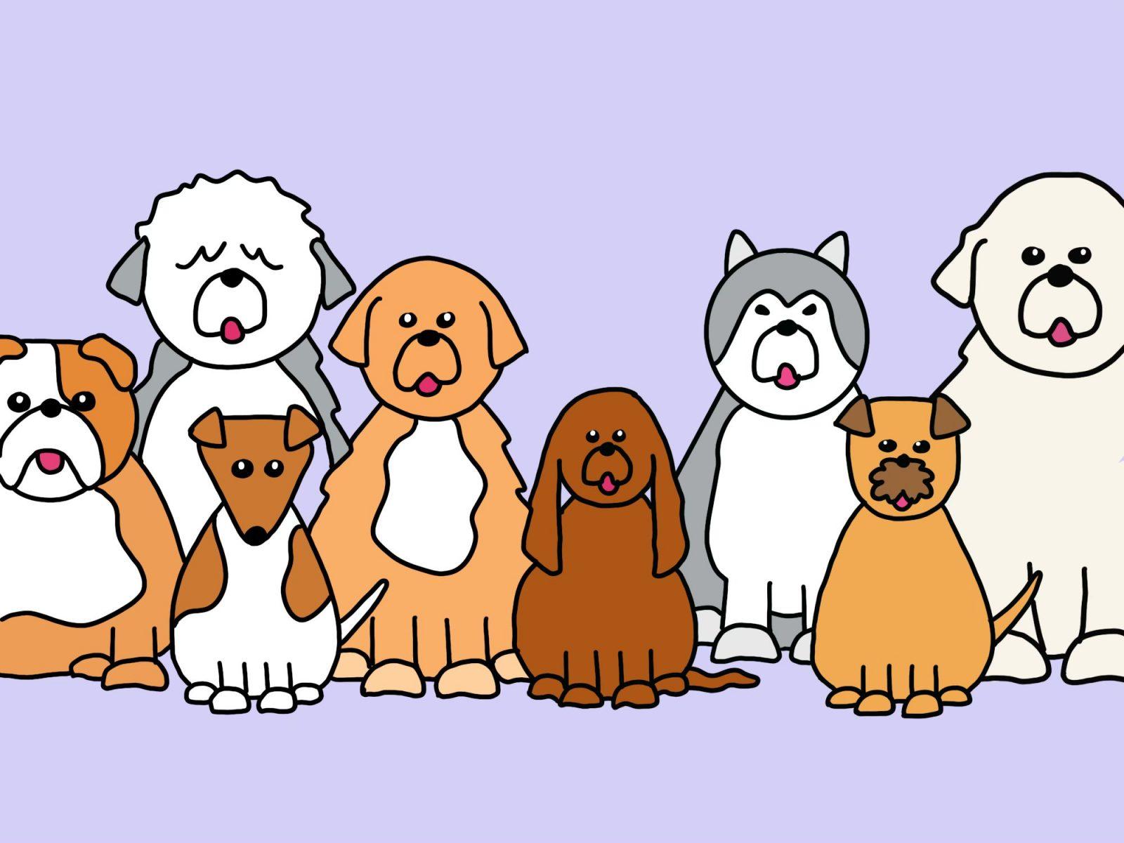 Connie Dai / DFP Staff