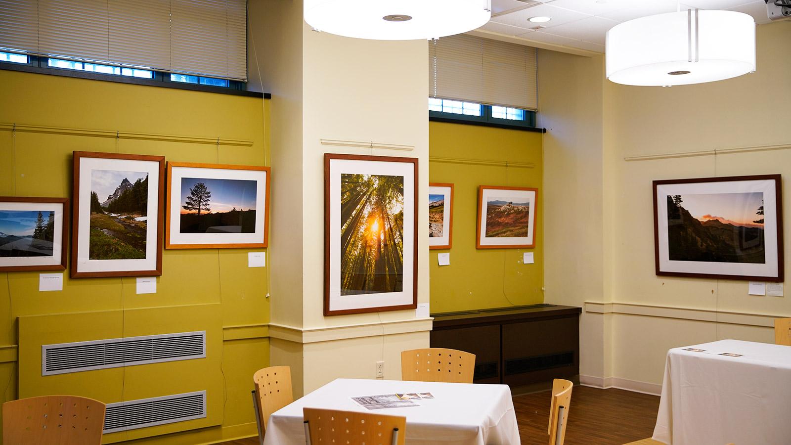 Nature photographer Dan Wells’ work is on display in Boston University’s School of Theology Library Community Center through Feb. 10. YINUO ZHANG/ DAILY FREE PRESS STAFF
