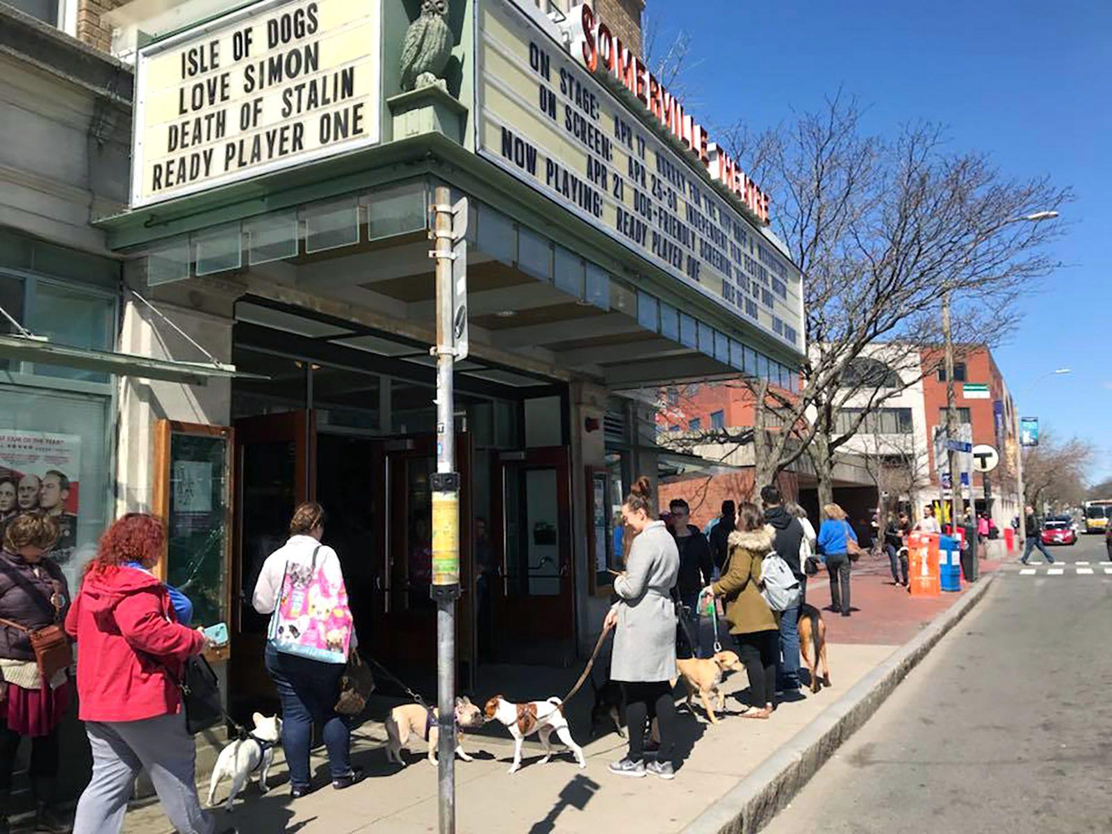 Dogs and their owners stand outside the Somerville Theatre before the start of the “Isle of Dogs” film screening on Saturday. The event aimed to raise money for the MSPCA. PHOTO COURTESY MSPCA AT NEVINS FARM

