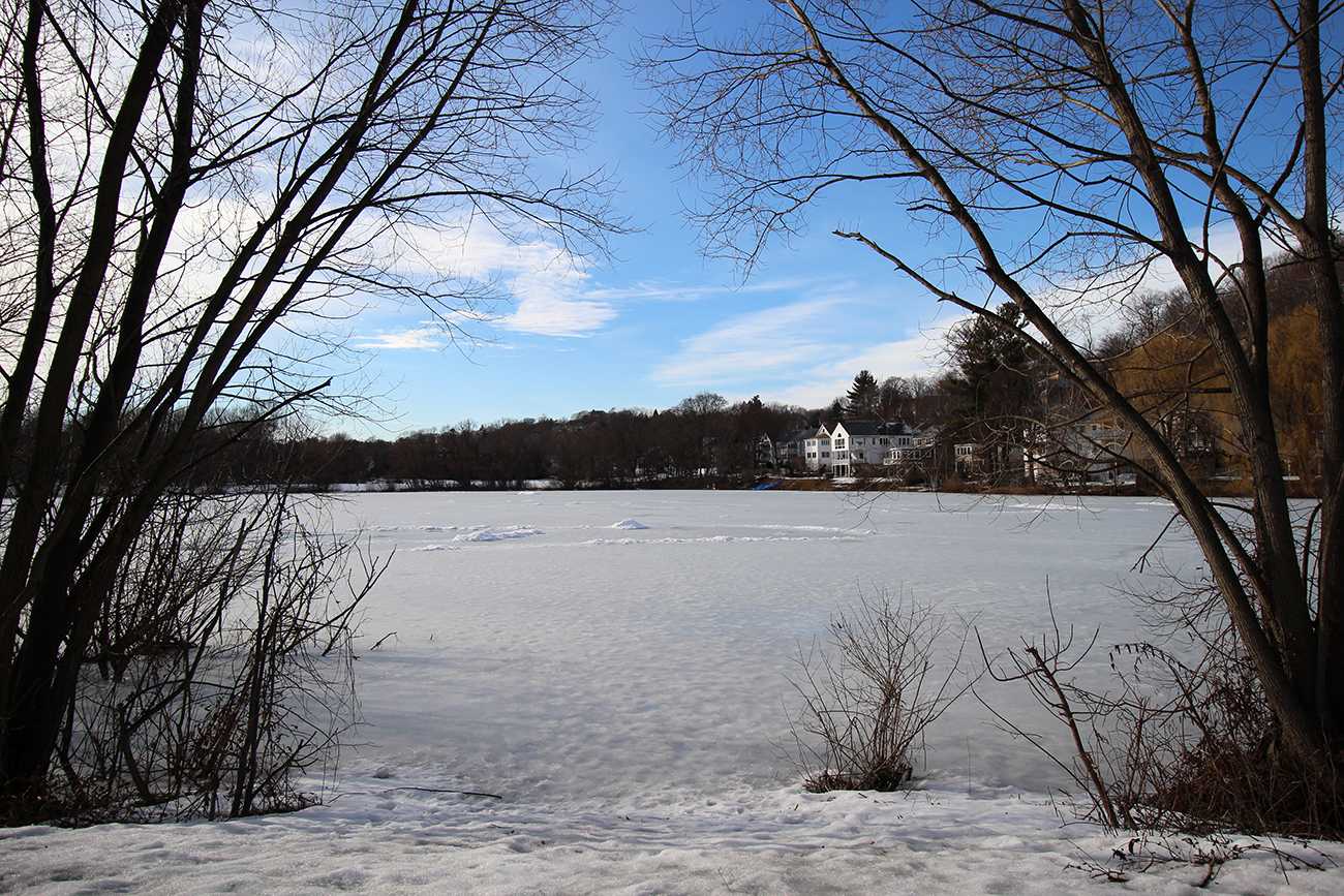 Chandler pond in Chestnut Hill