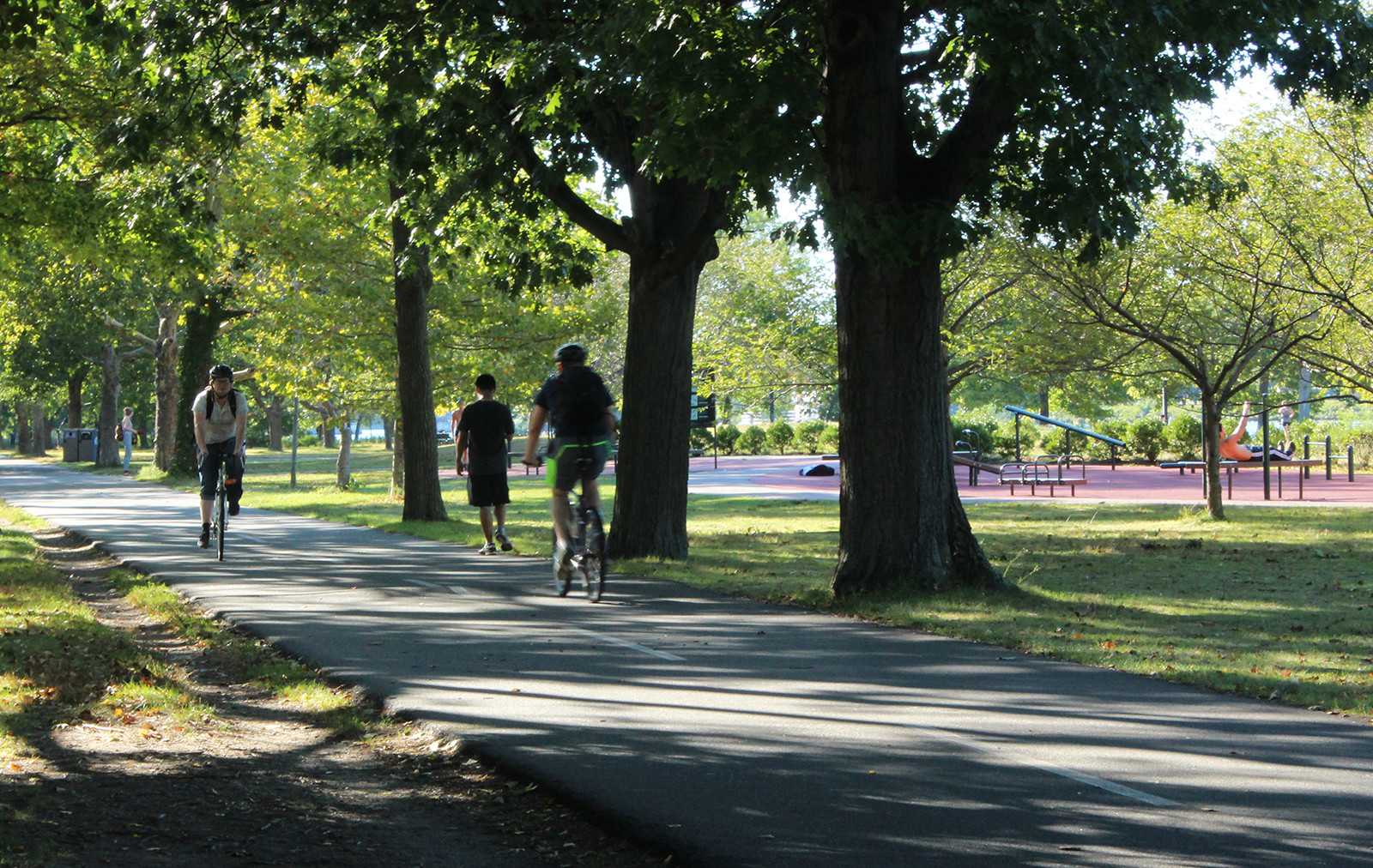 The Emerald Network Project, announced Saturday, plans to make a continuous pedestrian path from the Mystic River to the Neponset River. PHOTO ILLUSTRATION BY MAE DAVIS/DAILY FREE PRESS STAFF