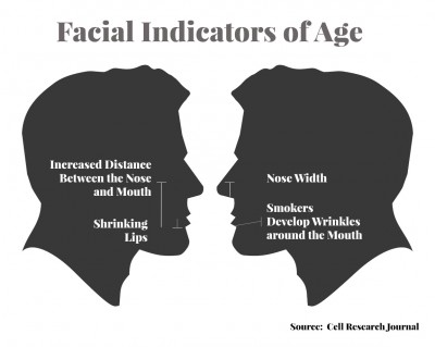   A study published March 31 in “Cell Research” found facial imaging predicts aging better than blood profiles. GRAPHIC BY ALEXANDRA WIMLEY/DAILY FREE PRESS STAFF