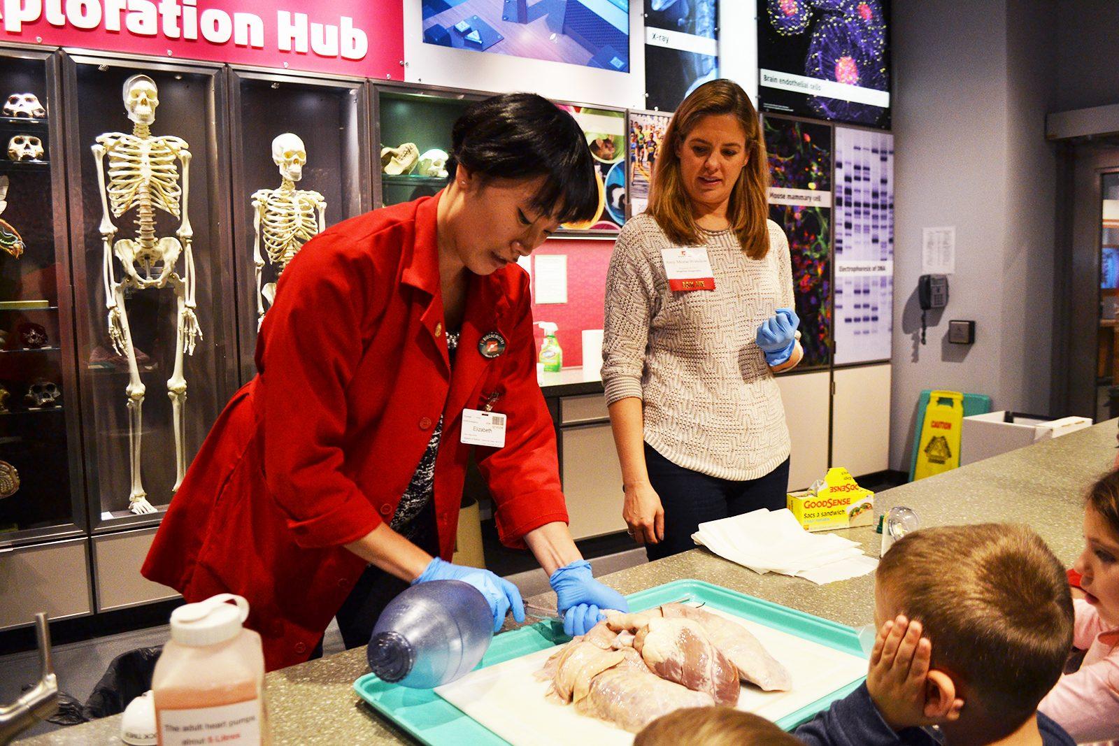 A Museum of Science staff member demonstrates how air pumps through the lungs to a group of children at a Women and Girls in STEM event on Nov. 5. PHOTO BY CHLOE GRINBERG/ DAILY FREE PRESS STAFF