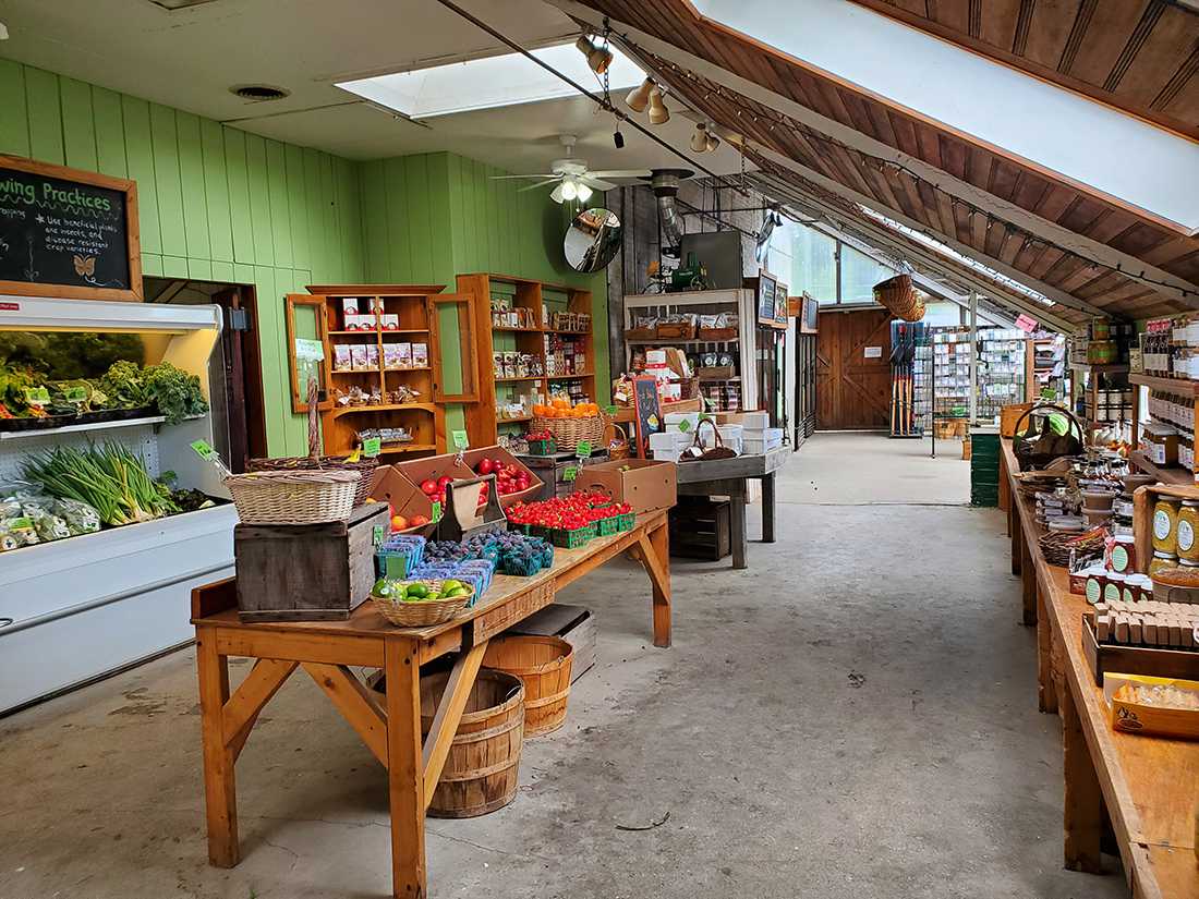 People looking to take a break from city life while staying in the Greater Boston area may want to visit Allandale Farm in Chestnut Hill. COURTESY OF ALLANDALE FARM