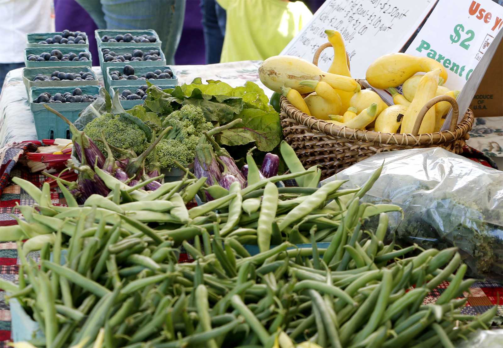 Massachusetts state leaders have developed a plan to increase the amount of locally produced food and envision a “robust food system in Massachusetts.” PHOTO COURTESY OLIVIA NADEL