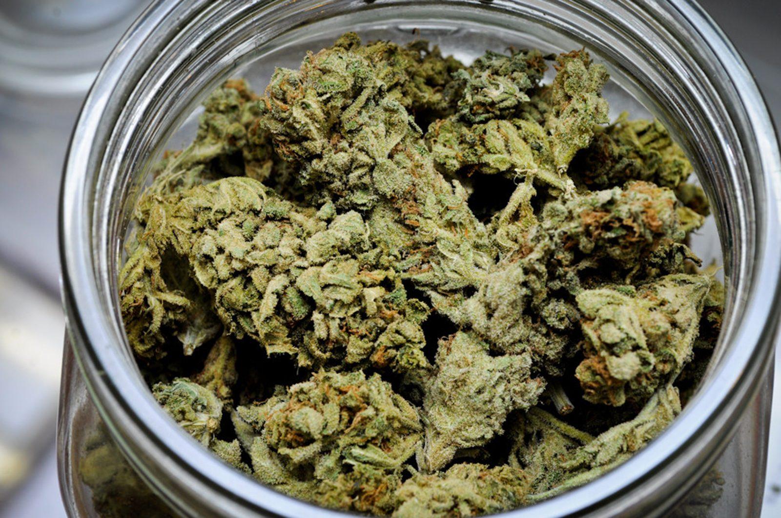 Question 4 ENDORSEMENT: A conditional 'yes' on marijuana calls for more research, education