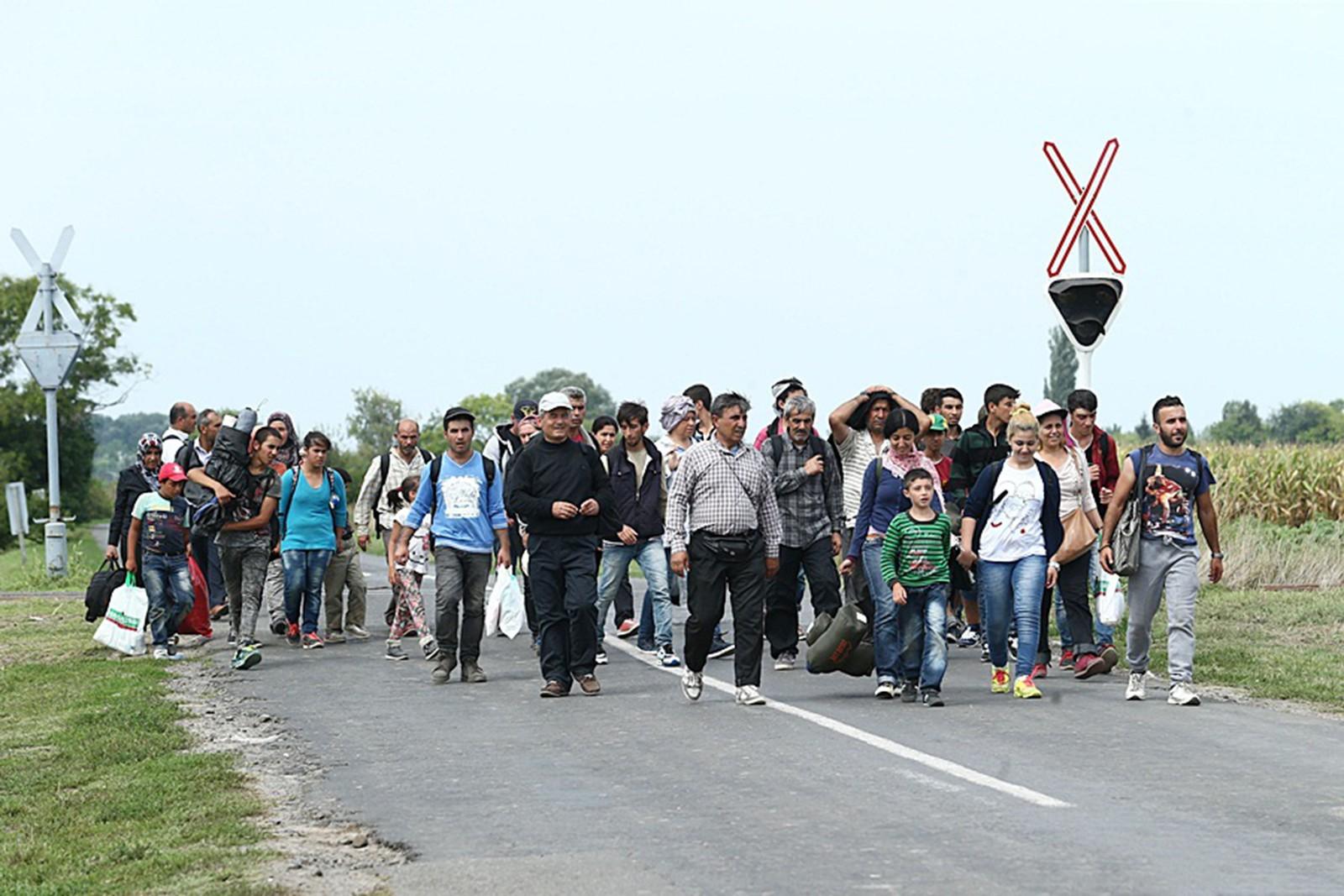EDITORIAL: Finland's migrant courses need to be broadened