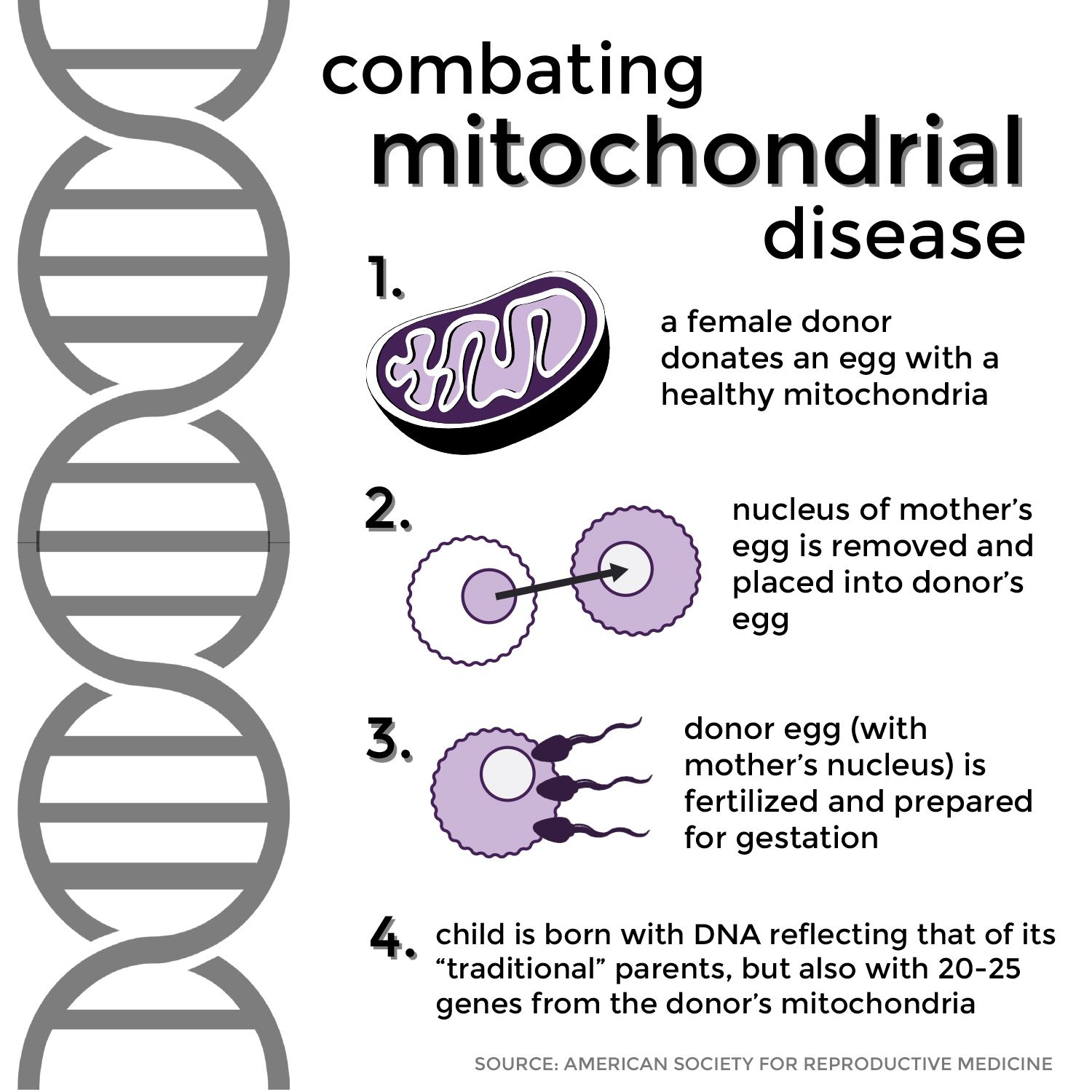 Mitochondrial Disease