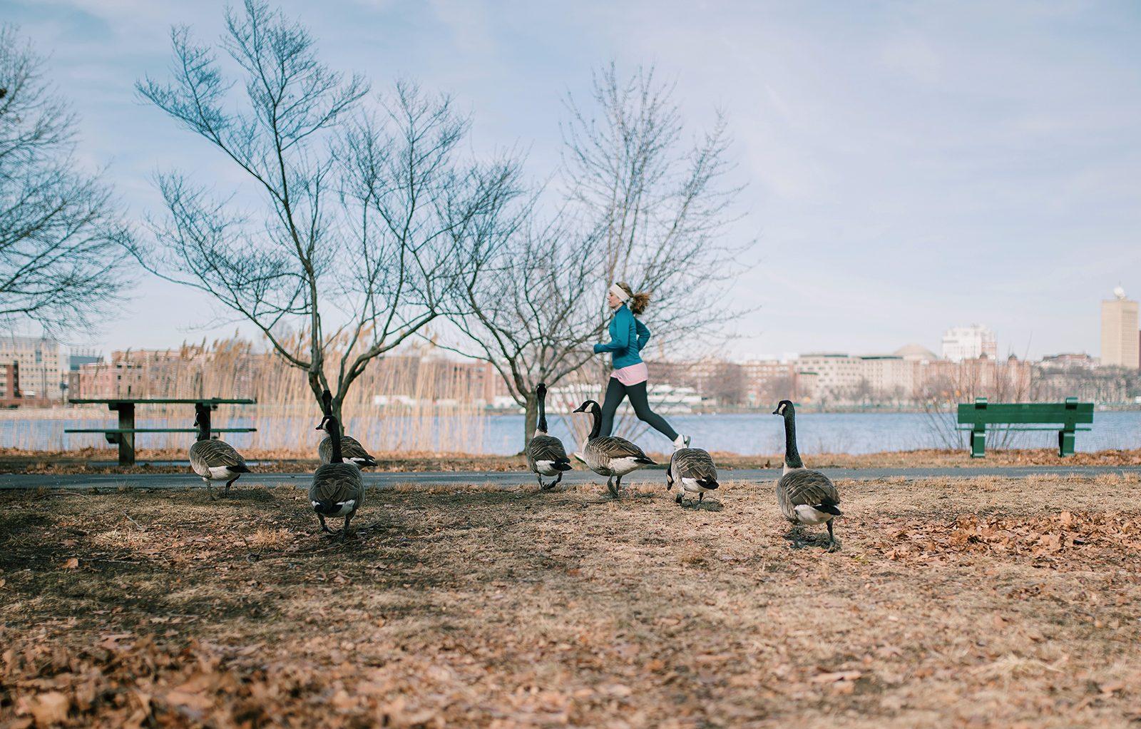 Recent reports show that Boston is ranked the 24th most health-conscious city in the United States. PHOTO BY DYLAN KIM/ DAILY FREE PRESS STAFF
