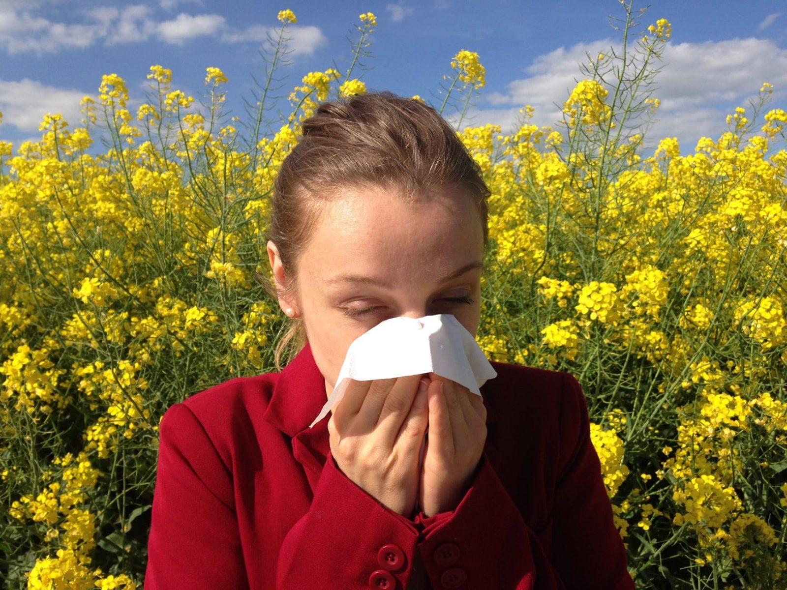 A new Allergy Awareness Club at Boston University will have its first meeting Tuesday night. COURTESY OF PIXABAY