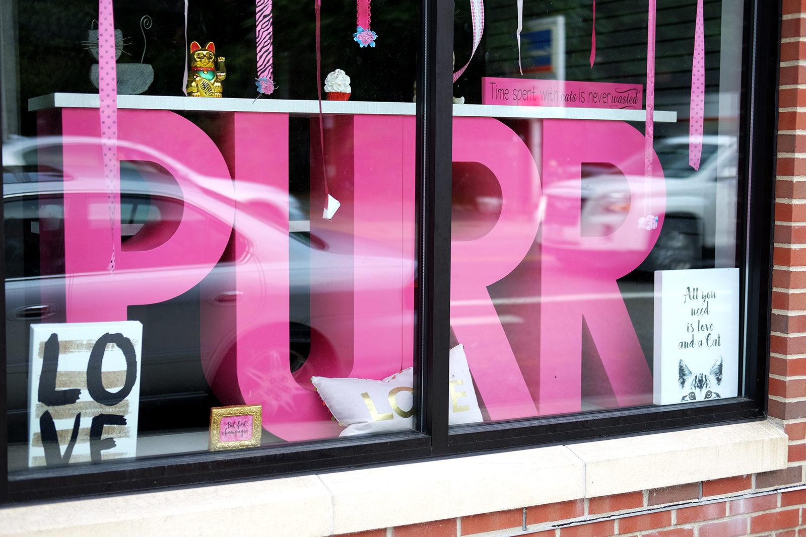 The Purr Boston Cat Café is set to open before 2018. PHOTO BY ISABELLA ARTEAGA/ DAILY FREE PRESS STAFF