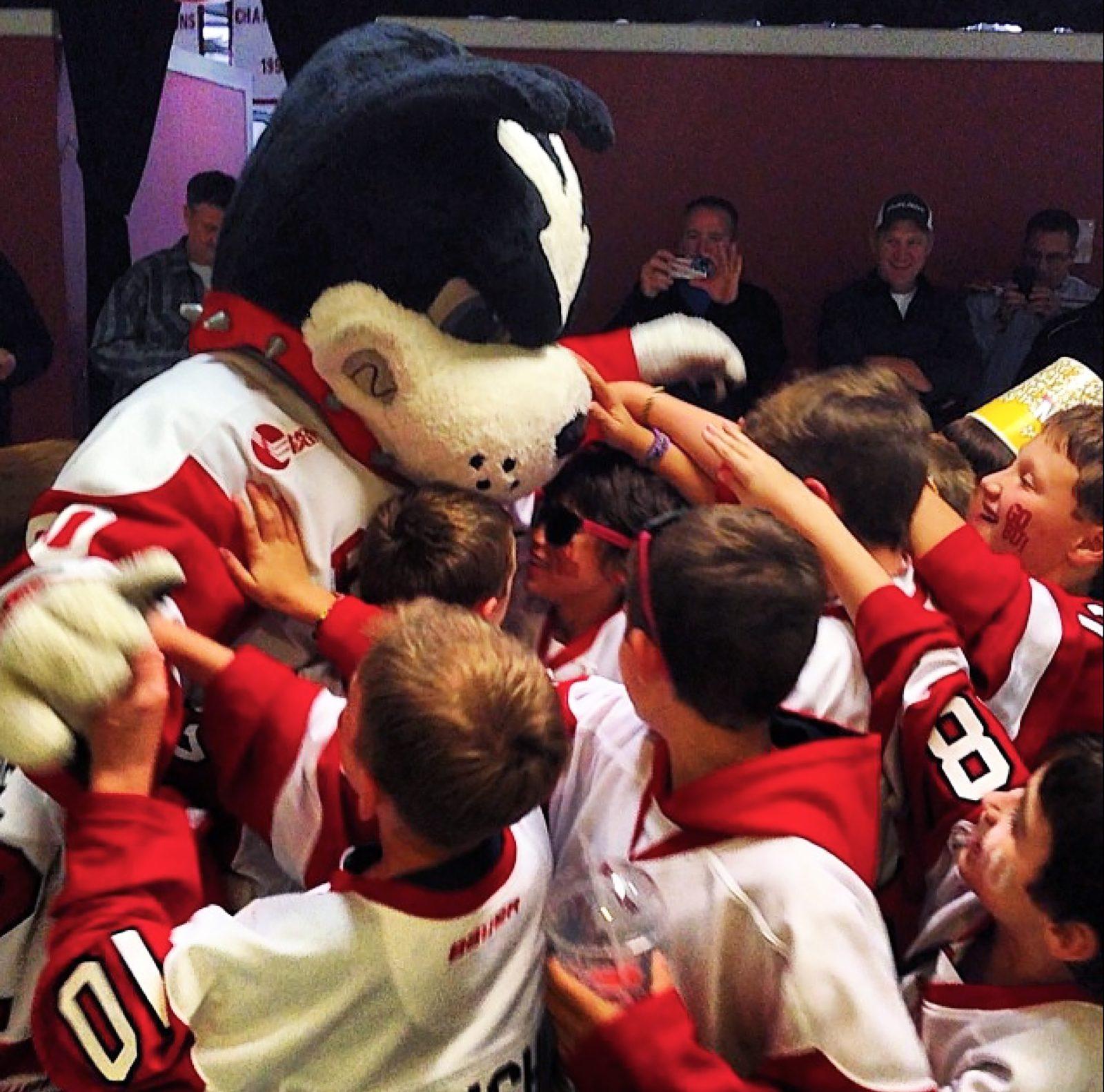 The Boston University Mascot Program begins holding auditions for Rhett, the school’s mascot, last week. PHOTO COURTESY BOSTON UNIVERSITY MASCOT PROGRAM