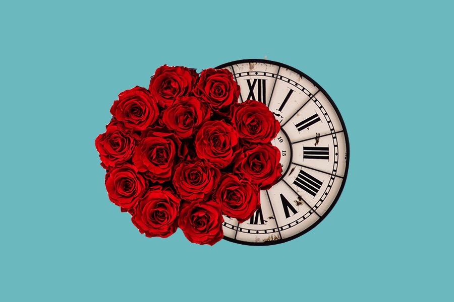 Yvonne Tang | Graphic Artist