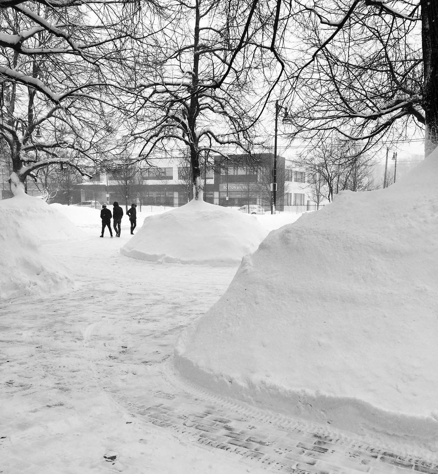 Snow accumulates near the George Sherman Union. Boston Mayor Martin Walsh, along with Boston's Department of Innovation and Technology, the Public Works Department and the Office of New Urban Mechanics, announced Monday “Boston Snow Stats,” a website displaying snow operation information. PHOTO BY ALEXANDRA WIMLEY/DAILY FREE PRESS STAFF