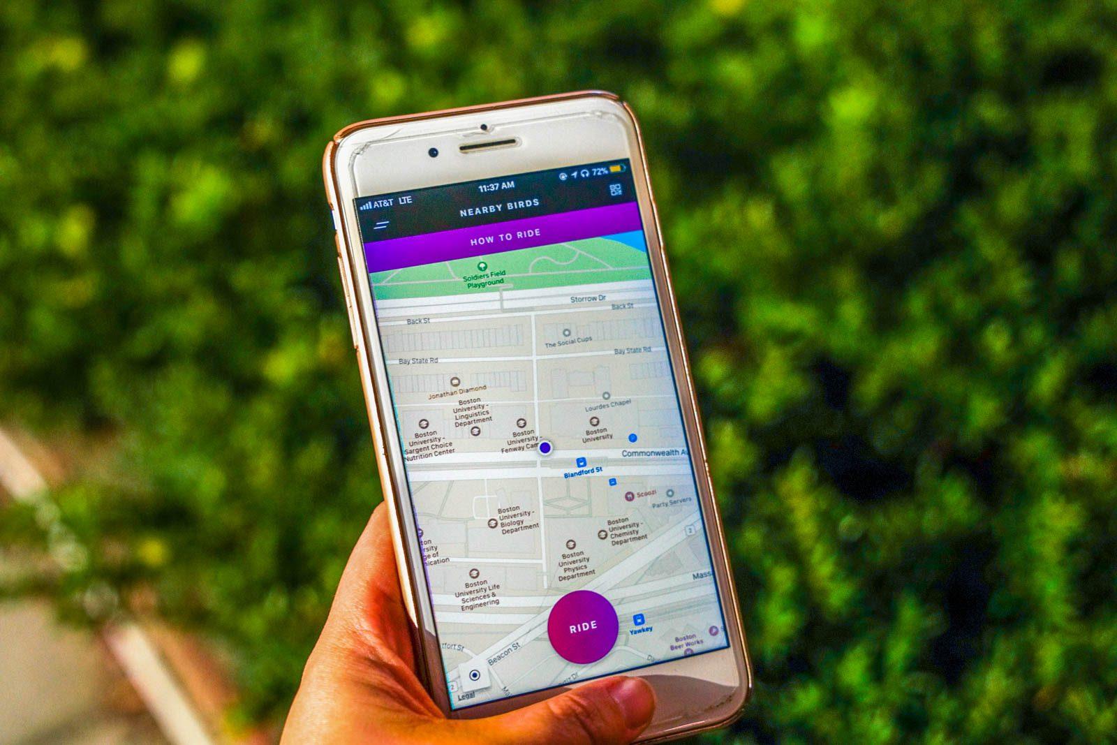 Users are able to locate nearby Bird scooters on the mobile app, Bird. ILLUSTRATION BY SERENA YU/ DAILY FREE PRESS STAFF