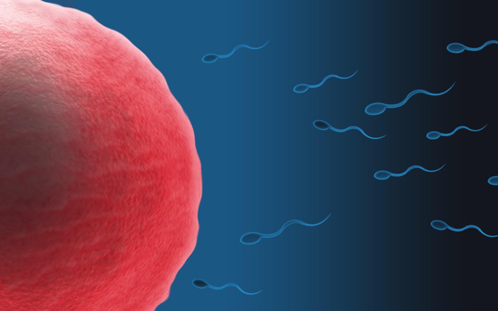 EDITORIAL: Laboratory sperm could help male infertility, but stay cautious