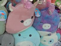 Squishmallows popular collectable in 2022