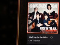 walking in the wind by one direction on spotify