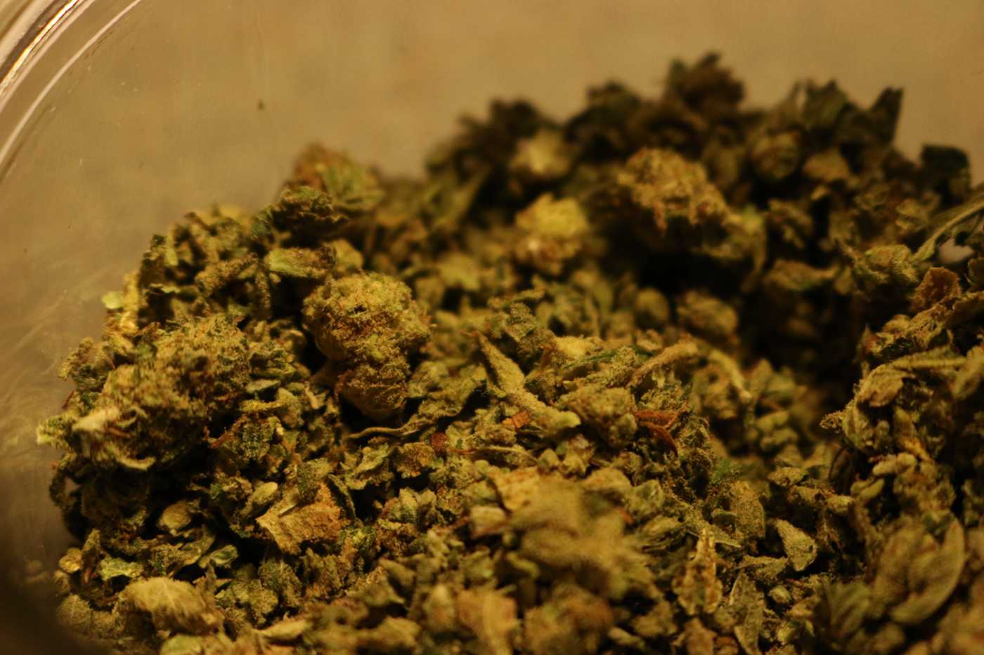 A group representing marijuana farmers in Massachusetts is planning a lawsuit against the Cannabis Control Commission in an effort to urge them to review controversial host community agreements. PHOTO BY BETSEY GOLDWASSER/ DFP FILE 