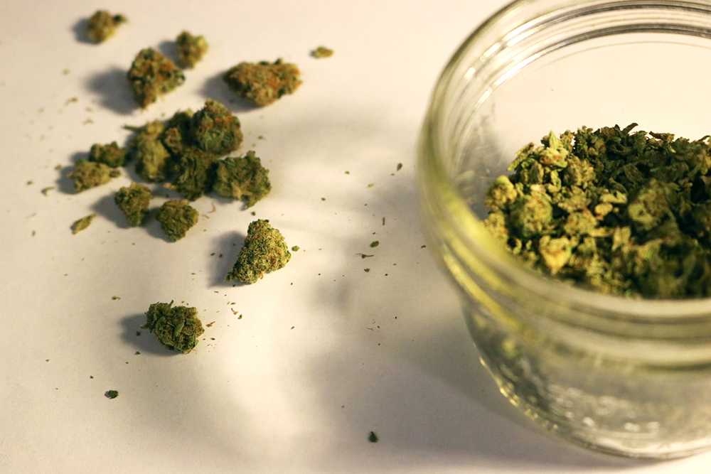 The five finalists in the Cannabis Start-Up Competition, an annual contest hosted by Innovate@BU, were released Friday. BETSEY GOLDWASSER/ DFP FILE ILLUSTRATION