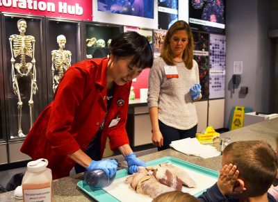 A Museum of Science staff member demonstrates how blood pumps through the heart to a group of children at a Women and Girls in STEM event. PHOTO BY CHLOE GRINBERG/DAILY FREE PRESS STAFF